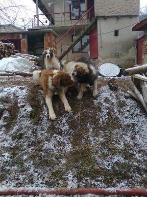 Прикачена снимка