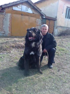 Прикачена снимка