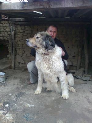 Прикачена снимка