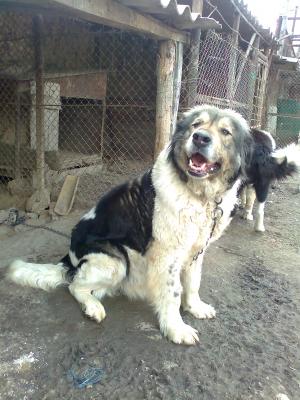 Прикачена снимка