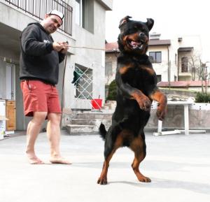 Прикачена снимка