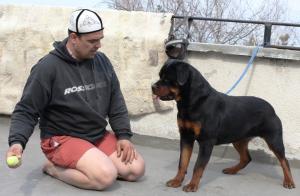 Прикачена снимка