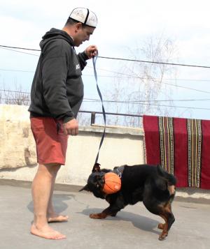 Прикачена снимка