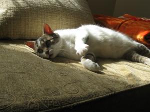 Прикачена снимка