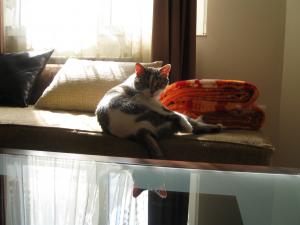 Прикачена снимка