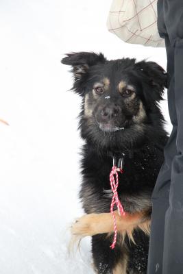 Прикачена снимка