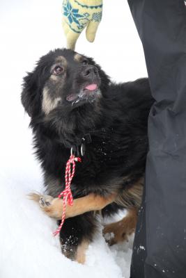 Прикачена снимка