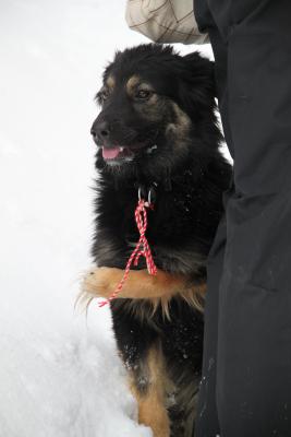 Прикачена снимка