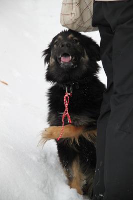 Прикачена снимка