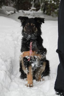 Прикачена снимка