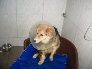 Прикачена снимка