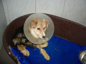 Прикачена снимка