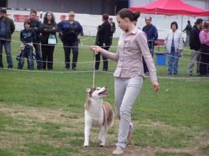 Прикачена снимка