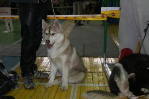 Прикачена снимка
