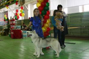 Прикачена снимка