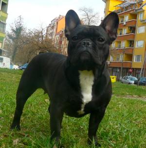 Прикачена снимка