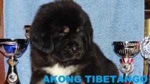 Прикачена снимка