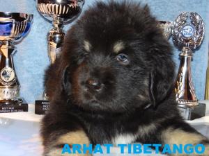 Прикачена снимка