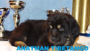 Прикачена снимка