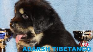 Прикачена снимка