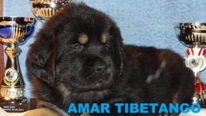 Прикачена снимка