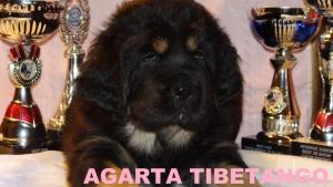 Прикачена снимка