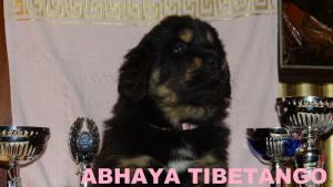 Прикачена снимка