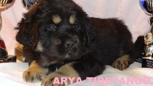 Прикачена снимка