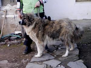 Прикачена снимка