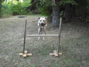 Прикачена снимка