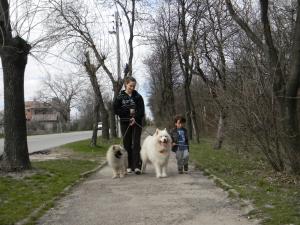 Прикачена снимка
