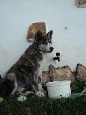 Прикачена снимка