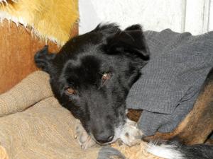 Прикачена снимка