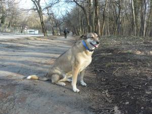Прикачена снимка