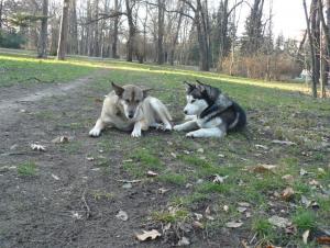 Прикачена снимка