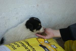 Прикачена снимка