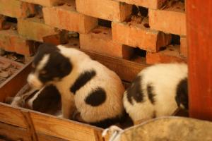 Прикачена снимка