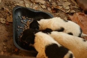 Прикачена снимка