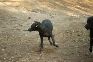 Прикачена снимка