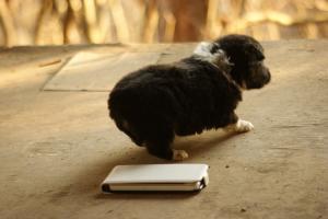 Прикачена снимка