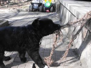 Прикачена снимка