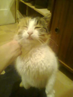 Прикачена снимка