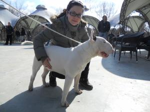 Прикачена снимка
