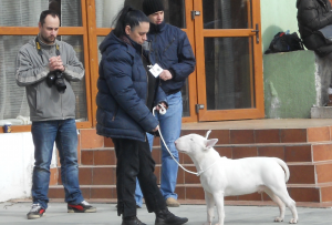 Прикачена снимка