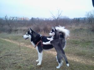 Прикачена снимка