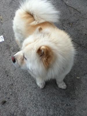 Прикачена снимка