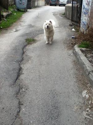 Прикачена снимка