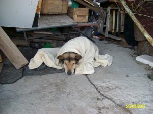 Прикачена снимка