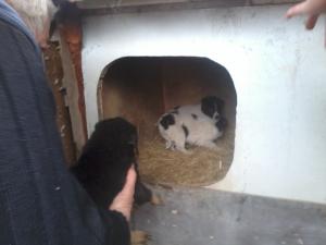 Прикачена снимка