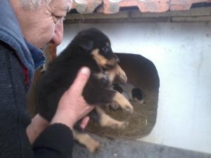 Прикачена снимка